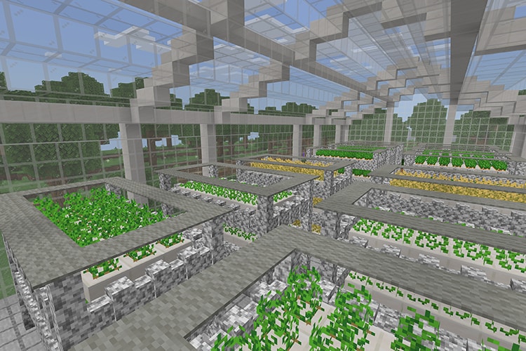 Farming in greenhouse