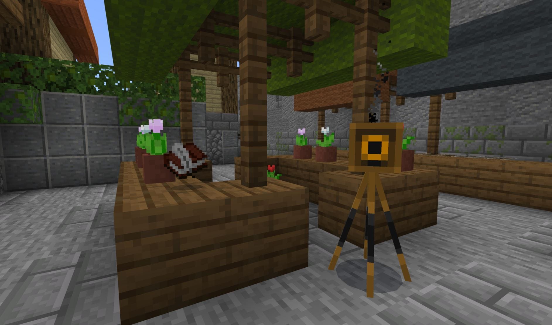 Using the Camera, Portfolio, Book, and Quill in Minecraft: Education Edition