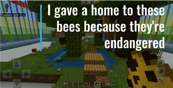 Endangered bees are given care in Mission Earth