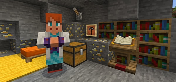 In a room filled with books, a villager stands, facing the viewer.