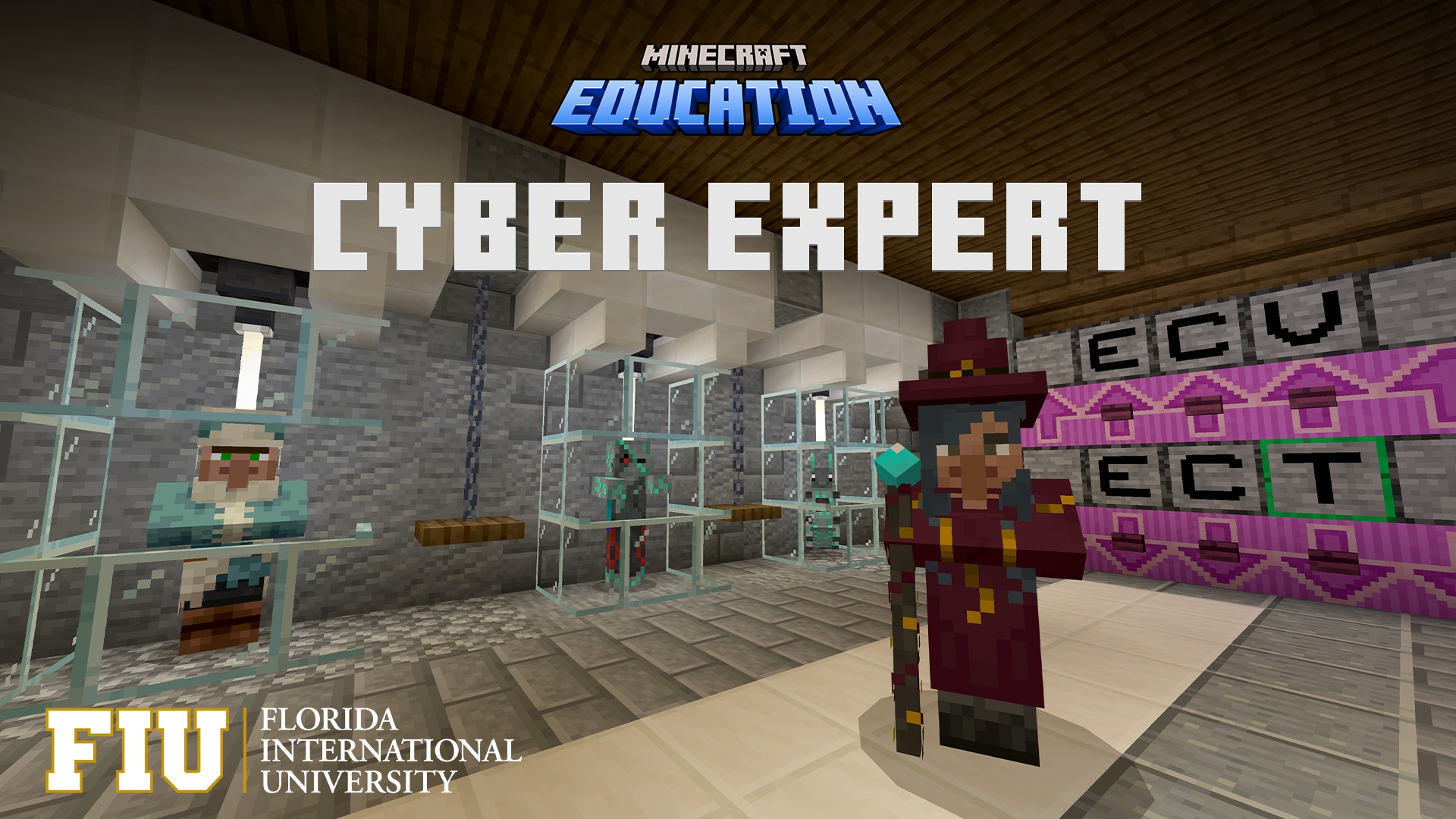 A wizard stands below an image caption: Cyber Expert. Creatures representing cyber threats are in cages along a wall.